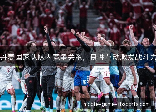 丹麦国家队队内竞争关系，良性互动激发战斗力
